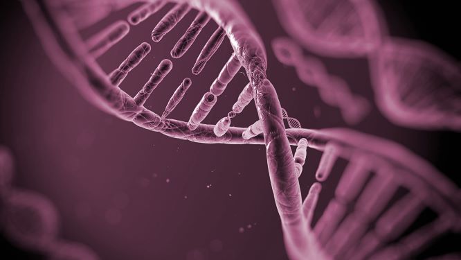 dna-pattern-matching preview